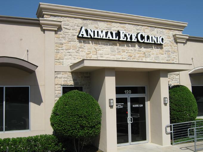 Animal Eye Clinic in Arlington texas. Dallas Fort Worth ophthalmology